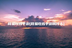 网易吃鸡手游(网易吃鸡手游叫什么) | ae插件合集