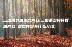 三国杀群雄逐鹿阵容(三国杀名将传群雄阵容 群雄阵容有什么介绍) | ae插件合集