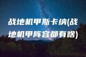 战地机甲斯卡纳(战地机甲阵容都有啥) | ae插件合集