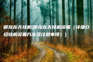 御龙在天挂机(御龙在天挂机设置（详细介绍挂机设置方法及注意事项）) | ae插件合集