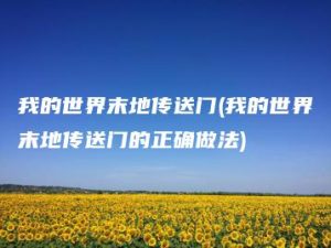 我的世界末地传送门(我的世界末地传送门的正确做法) | ae插件合集