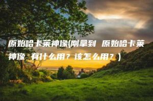 原始哈卡莱神像(刚拿到 原始哈卡莱神像 有什么用？该怎么用？) | ae插件合集