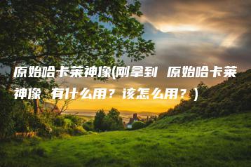 原始哈卡莱神像(刚拿到 原始哈卡莱神像 有什么用？该怎么用？) | ae插件合集