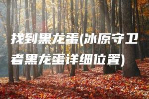 找到黑龙蛋(冰原守卫者黑龙蛋详细位置) | ae插件合集