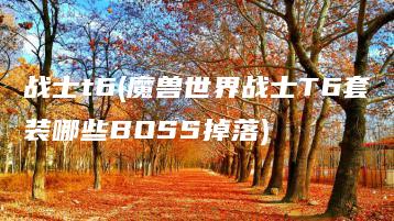 战士t6(魔兽世界战士T6套装哪些BOSS掉落) | ae插件合集