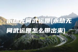 永劫无间武运匣(永劫无间武运匣怎么带出来) | ae插件合集