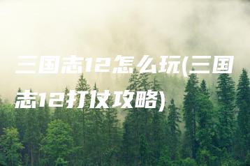 三国志12怎么玩(三国志12打仗攻略) | ae插件合集