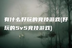 有什么好玩的竞技游戏(好玩的5v5竞技游戏) | ae插件合集