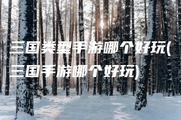 三国类型手游哪个好玩(三国手游哪个好玩) | ae插件合集