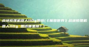 战地修理机器人110g图纸(《魔兽世界》战地修理机器人110g 图纸哪里掉？) | ae插件合集