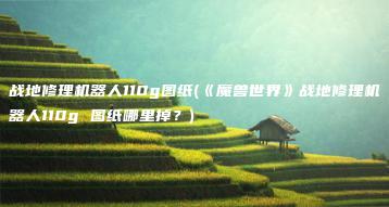 战地修理机器人110g图纸(《魔兽世界》战地修理机器人110g 图纸哪里掉？) | ae插件合集