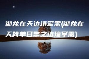 御龙在天边境军需(御龙在天简单日常之边境军需) | ae插件合集