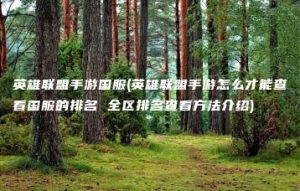 英雄联盟手游国服(英雄联盟手游怎么才能查看国服的排名 全区排名查看方法介绍) | ae插件合集