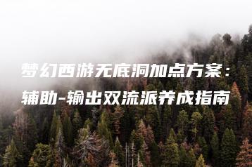 梦幻西游无底洞加点方案：辅助-输出双流派养成指南 | ae插件合集