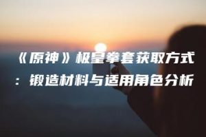 《原神》极皇拳套获取方式：锻造材料与适用角色分析 | ae插件合集