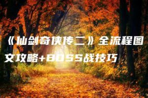 《仙剑奇侠传二》全流程图文攻略+BOSS战技巧 | ae插件合集