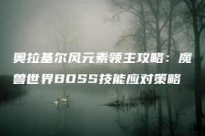 奥拉基尔风元素领主攻略：魔兽世界BOSS技能应对策略 | ae插件合集
