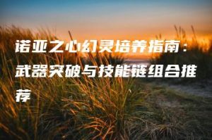 诺亚之心幻灵培养指南：武器突破与技能链组合推荐 | ae插件合集