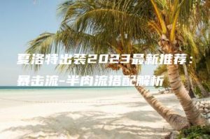 夏洛特出装2023最新推荐：暴击流-半肉流搭配解析 | ae插件合集