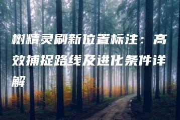 树精灵刷新位置标注：高效捕捉路线及进化条件详解 | ae插件合集