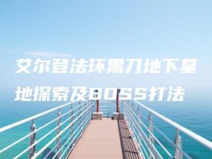 艾尔登法环黑刀地下墓地探索及BOSS打法 | ae插件合集