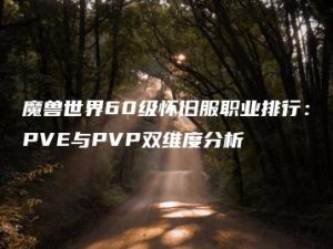 魔兽世界60级怀旧服职业排行：PVE与PVP双维度分析 | ae插件合集