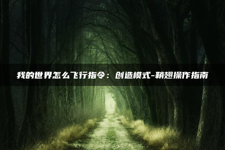 我的世界怎么飞行指令：创造模式-鞘翅操作指南