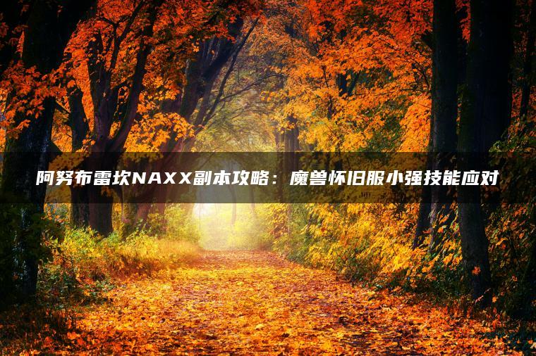 阿努布雷坎NAXX副本攻略：魔兽怀旧服小强技能应对
