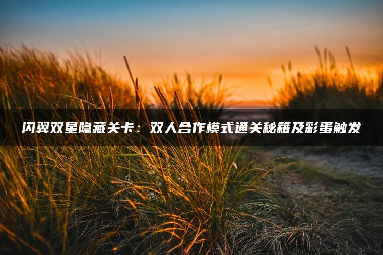 闪翼双星隐藏关卡：双人合作模式通关秘籍及彩蛋触发