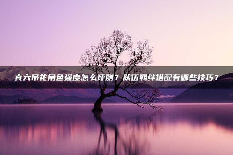 真六吊花角色强度怎么评测？队伍羁绊搭配有哪些技巧？