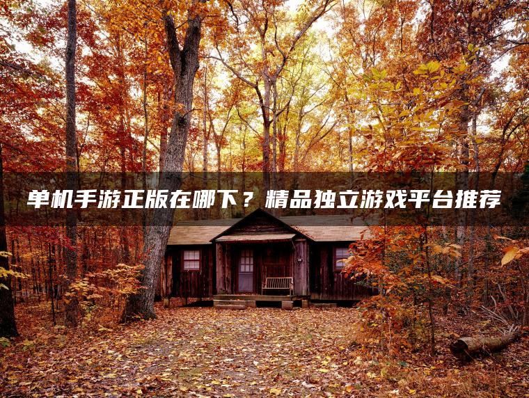 单机手游正版在哪下？精品独立游戏平台推荐