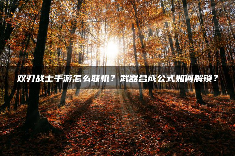 图片[1] | 双刃战士手游怎么联机？武器合成公式如何解锁？ | ae插件合集