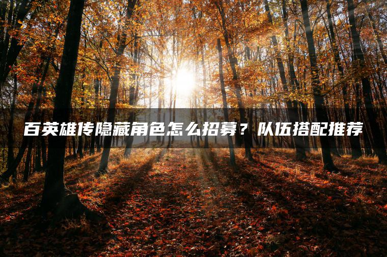 百英雄传隐藏角色怎么招募？队伍搭配推荐