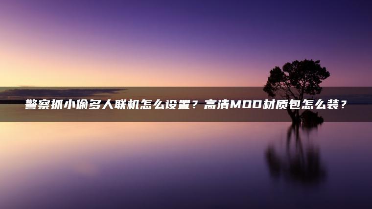 警察抓小偷多人联机怎么设置？高清MOD材质包怎么装？