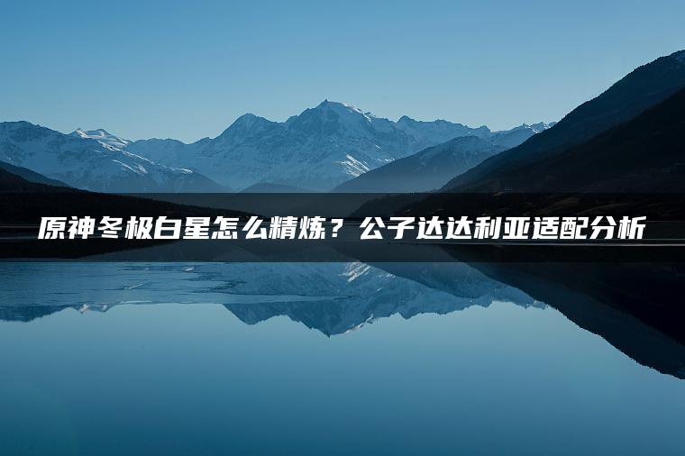 原神冬极白星怎么精炼？公子达达利亚适配分析