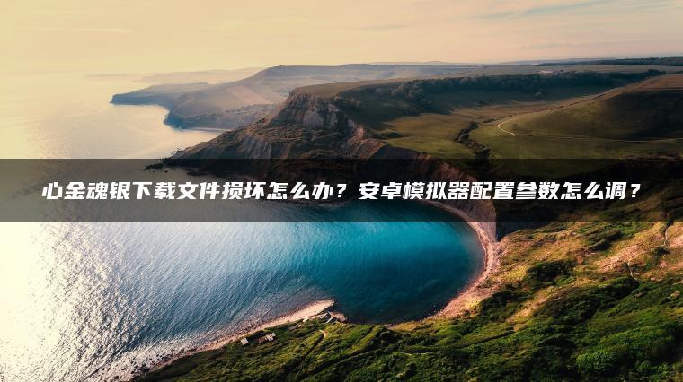 心金魂银下载文件损坏怎么办？安卓模拟器配置参数怎么调？