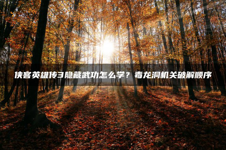 侠客英雄传3隐藏武功怎么学？毒龙洞机关破解顺序