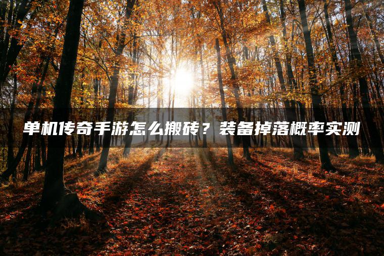 单机传奇手游怎么搬砖？装备掉落概率实测 | ae插件合集