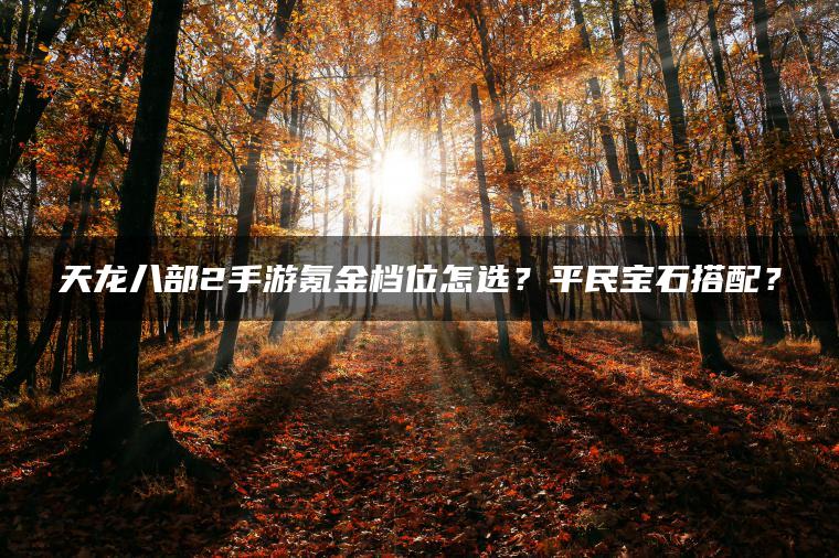 天龙八部2手游氪金档位怎选？平民宝石搭配？