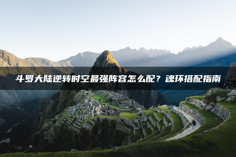 斗罗大陆逆转时空最强阵容怎么配？魂环搭配指南