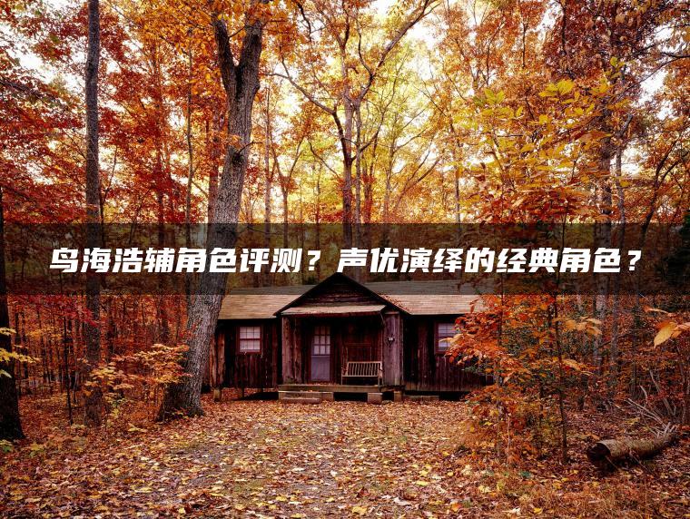 鸟海浩辅角色评测？声优演绎的经典角色？ | ae插件合集