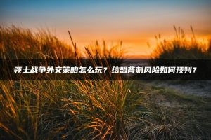 领土战争外交策略怎么玩?结盟背刺风险如何预判? | ae插件合集
