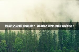 迷雾之森探索指南？神秘场景中的隐藏秘密？ | ae插件合集