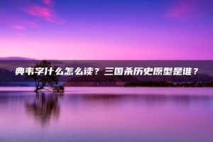 典韦字什么怎么读?三国杀历史原型是谁? | ae插件合集