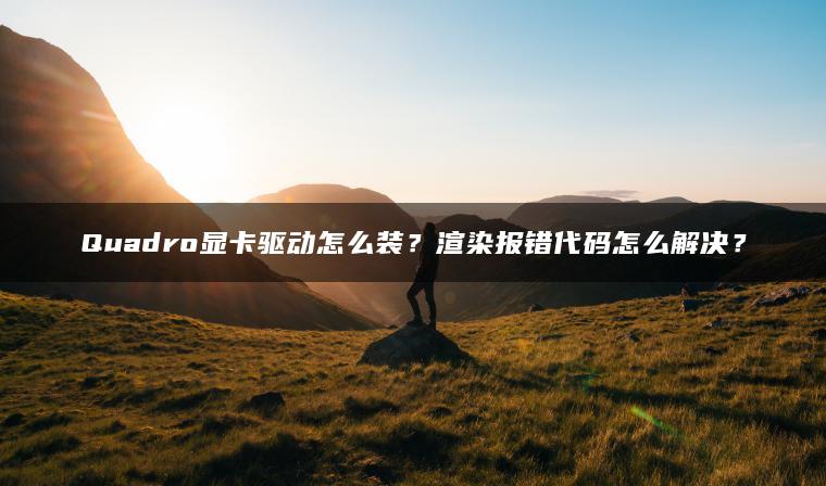 Quadro显卡驱动怎么装？渲染报错代码怎么解决？