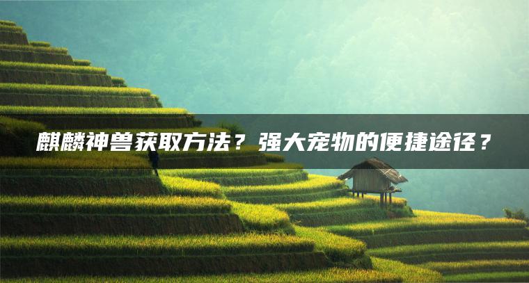麒麟神兽获取方法？强大宠物的便捷途径？ | ae插件合集