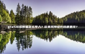 gta5捏脸数据怎么导入？欧美风预设代码哪里找？ | ae插件合集