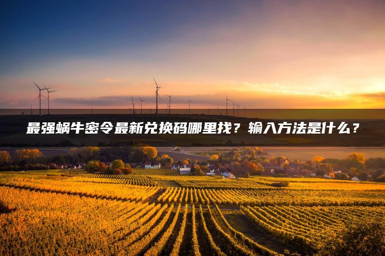 最强蜗牛密令最新兑换码哪里找？输入方法是什么？