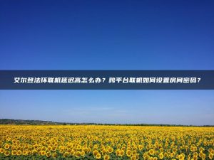 艾尔登法环联机延迟高怎么办？跨平台联机如何设置房间密码？ | ae插件合集