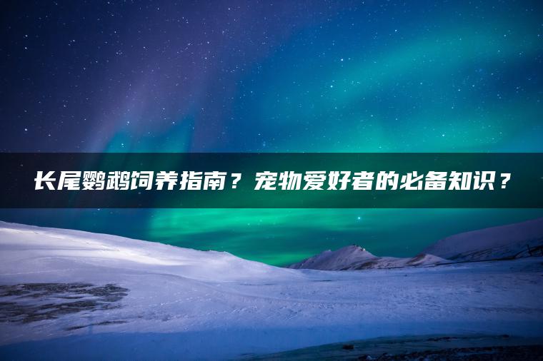 长尾鹦鹉饲养指南？宠物爱好者的必备知识？ | ae插件合集